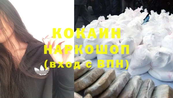 СК Белокуриха